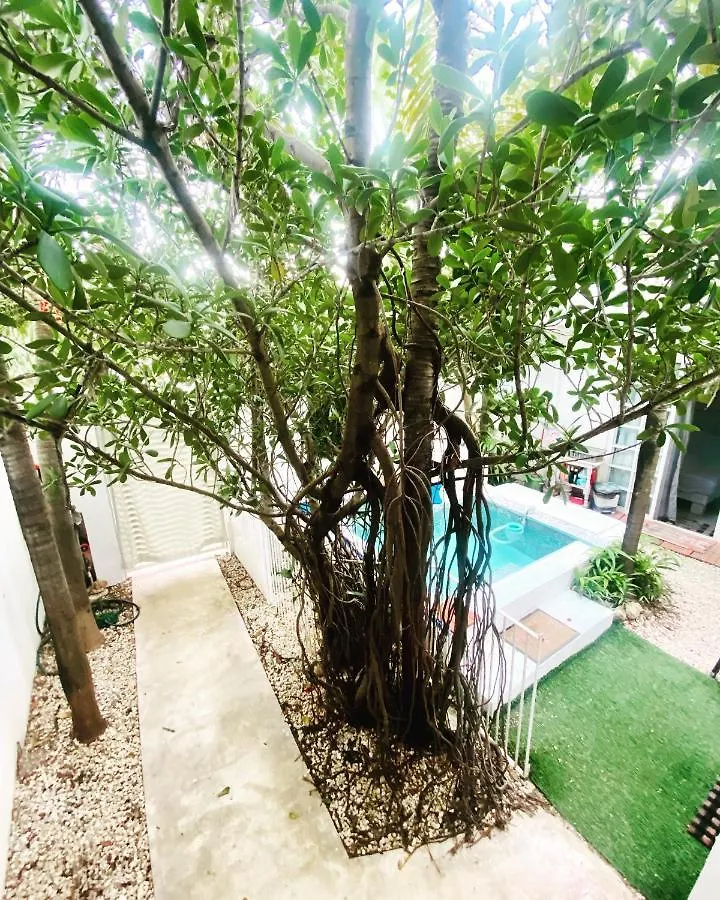 Cozy And Nice Two Bedrooms Acasadialexplayadelcarmen Πλάγια Ντελ Κάρμεν Διαμέρισμα